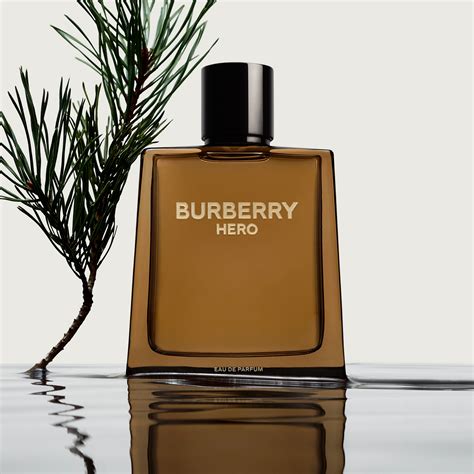 burberry männer eu de parfum|best burberry for men.